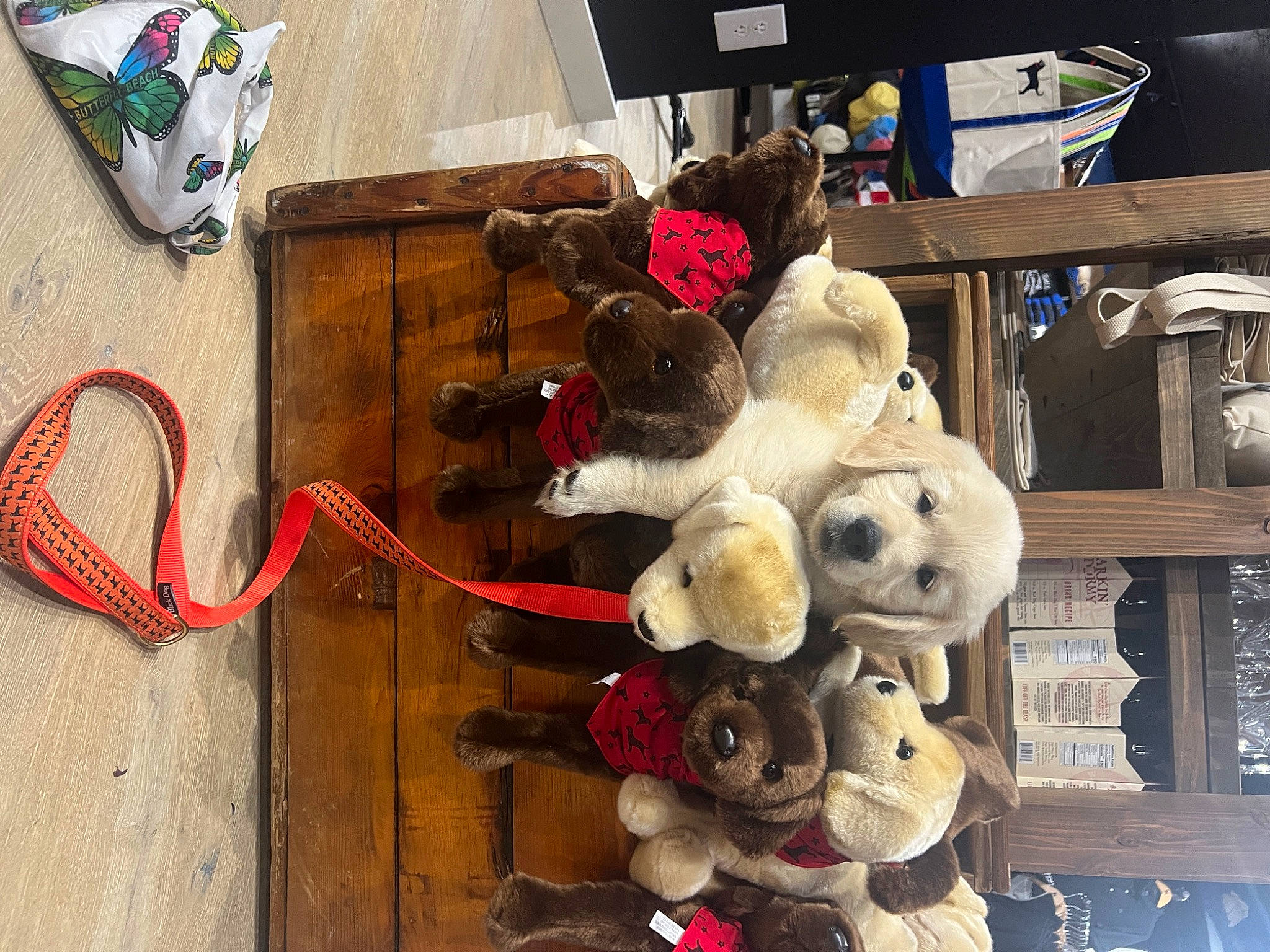 Finn is registered to the contest to win money with this photo: baby_toys, cable, carmine, collection, electrical_supply, electrical_wiring, fashion_accessory, flooring, fur, gas, plastic, plush, room, stuffed_toy, teddy_bear, toy, wire, wood, wool