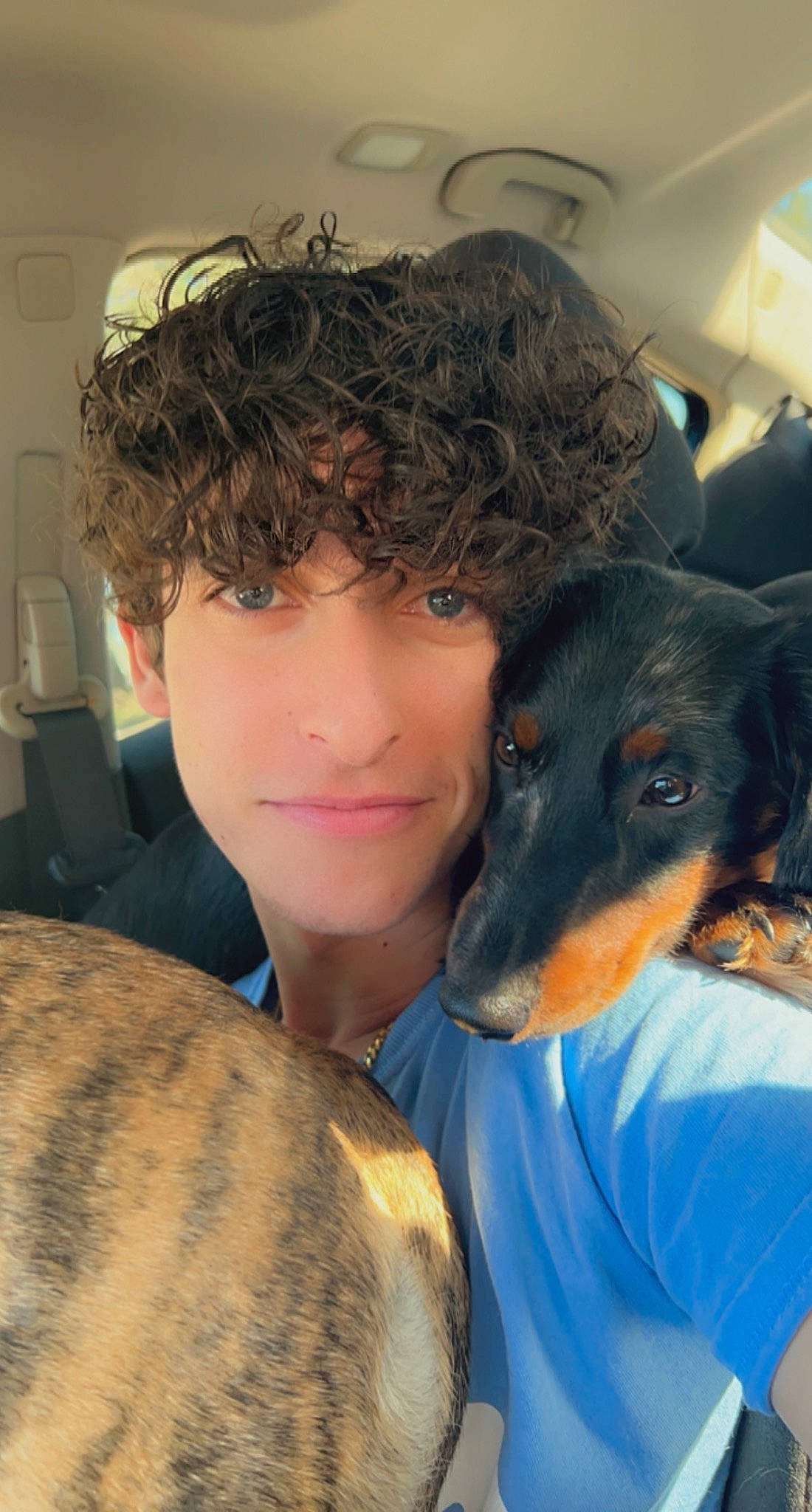 Toby joined the competition — help win amazing prizes! canidae, carnivore, companion_dog, dog, dog_breed, ear, eyewear, fawn, fun, fur, guard_dog, happy, jaw, plant, selfie, sporting_group, working_dog