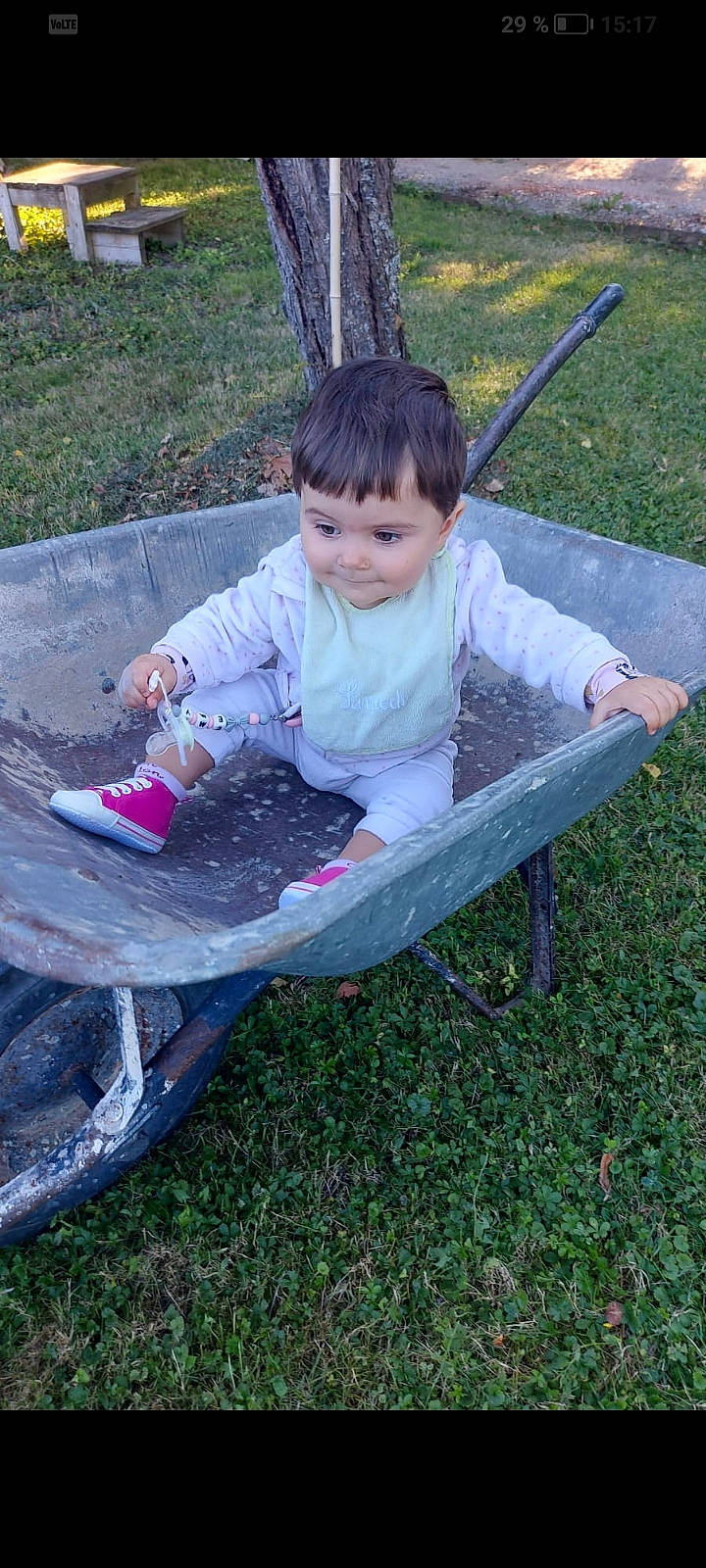 Emy a rejoint le concours — aidez-le/la à gagner de superbes lots ! child, fun, garden, grass, landscape, lap, leisure, outdoor_furniture, person, plant, play, recreation, shade, sitting, smile, soil, toddler, tree, yard
