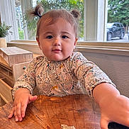 Quinn joined the competition — help win amazing prizes! toddler, child, girl, pigtails, wooden_table, indoor, window, natural_light, plant, curious, face, hand, clothing, cute, expression, furniture, home, person, young_child, baby