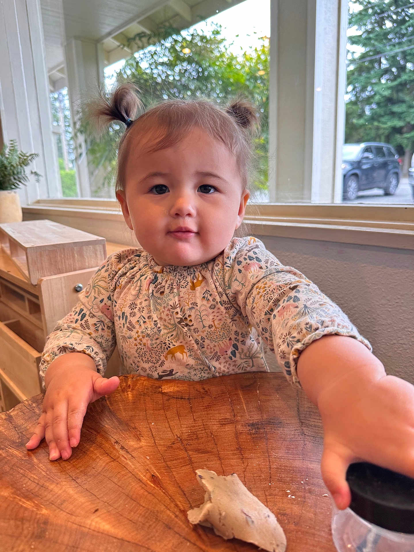 Quinn joined the competition — help win amazing prizes! toddler, child, girl, pigtails, wooden_table, indoor, window, natural_light, plant, curious, face, hand, clothing, cute, expression, furniture, home, person, young_child, baby