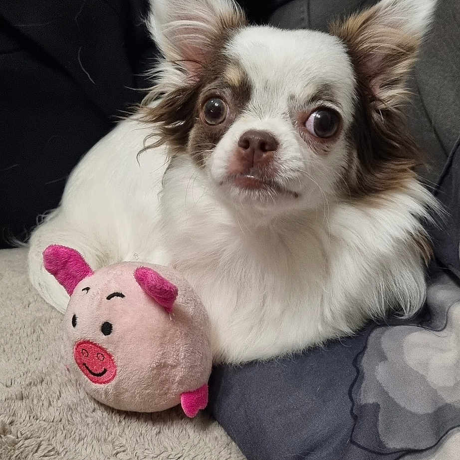 Tina