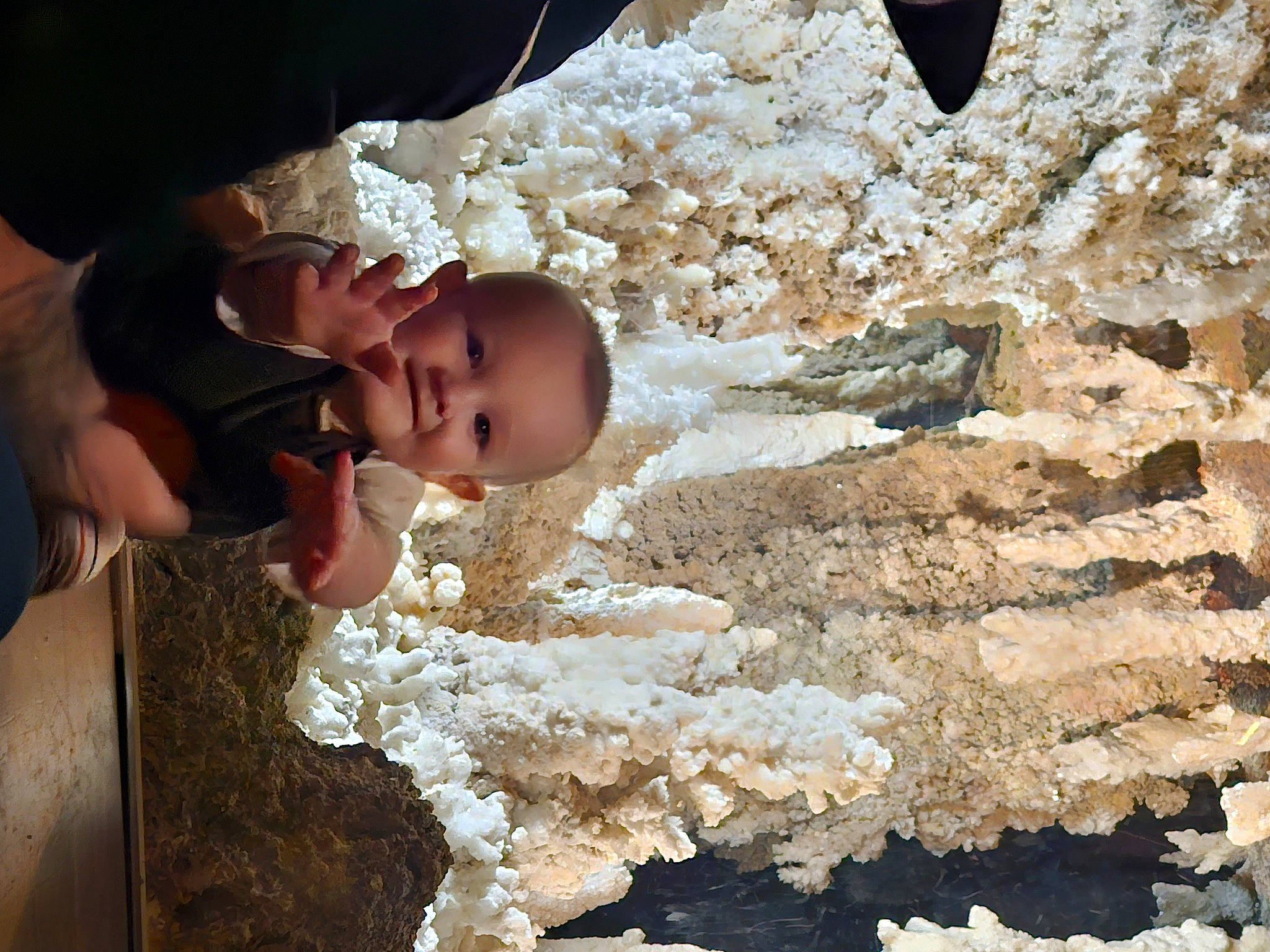 Lucas joined the competition — help win amazing prizes! baby, child, flash_photography, fun, happy, landscape, leisure, people_in_nature, person, rock, sitting, soil, toddler, tree, vacation, wood