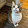Lennon