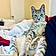 Wiley