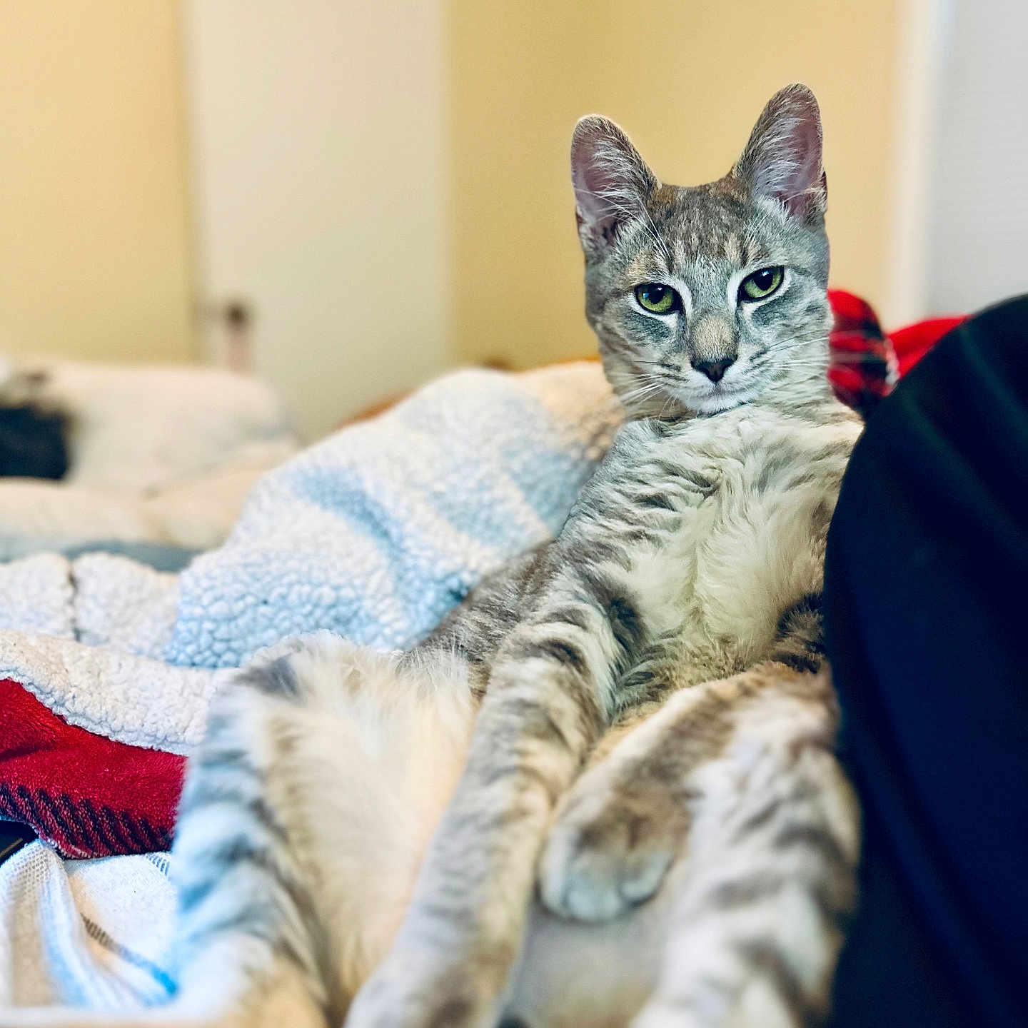 Wiley