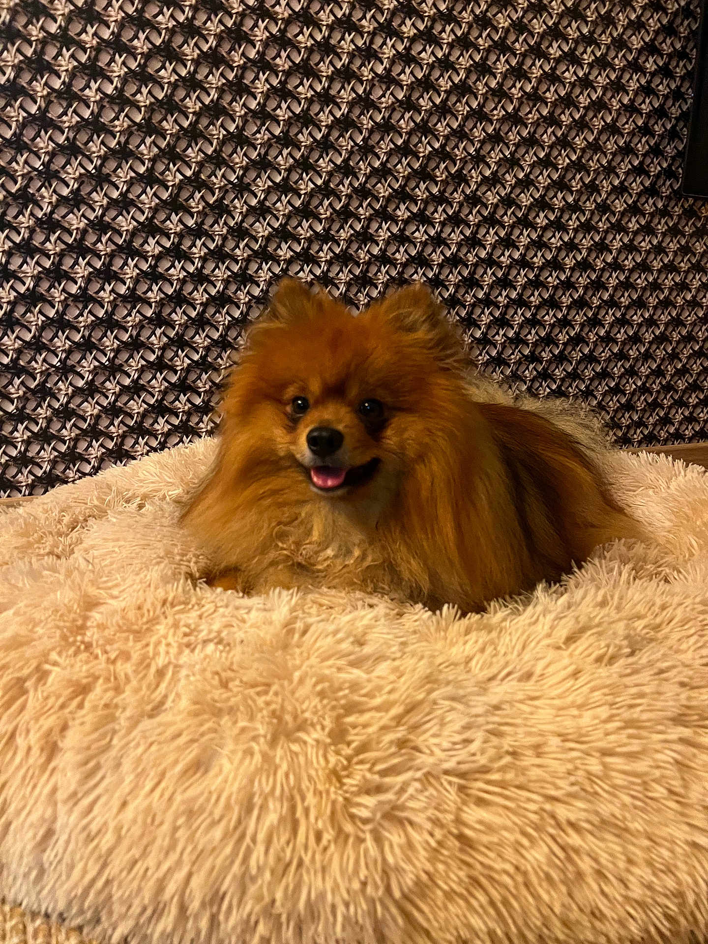 Tino