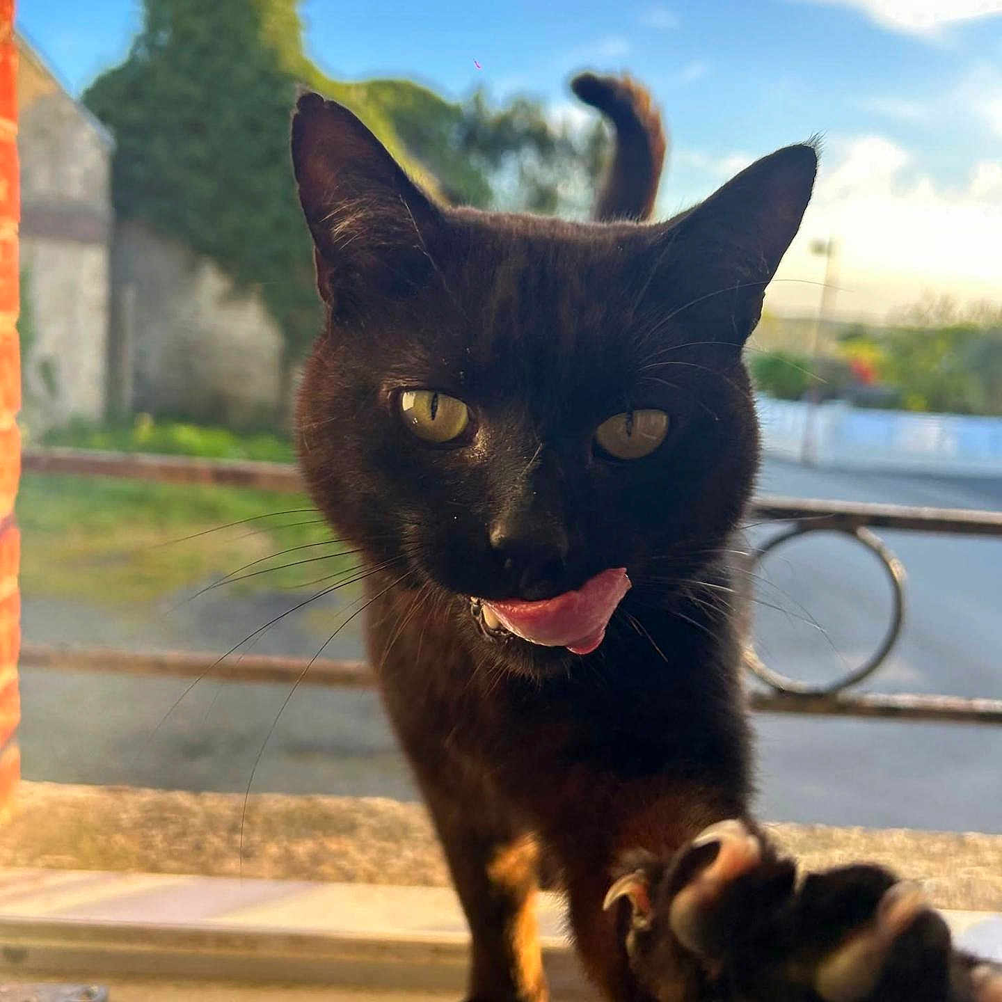 Kiki
