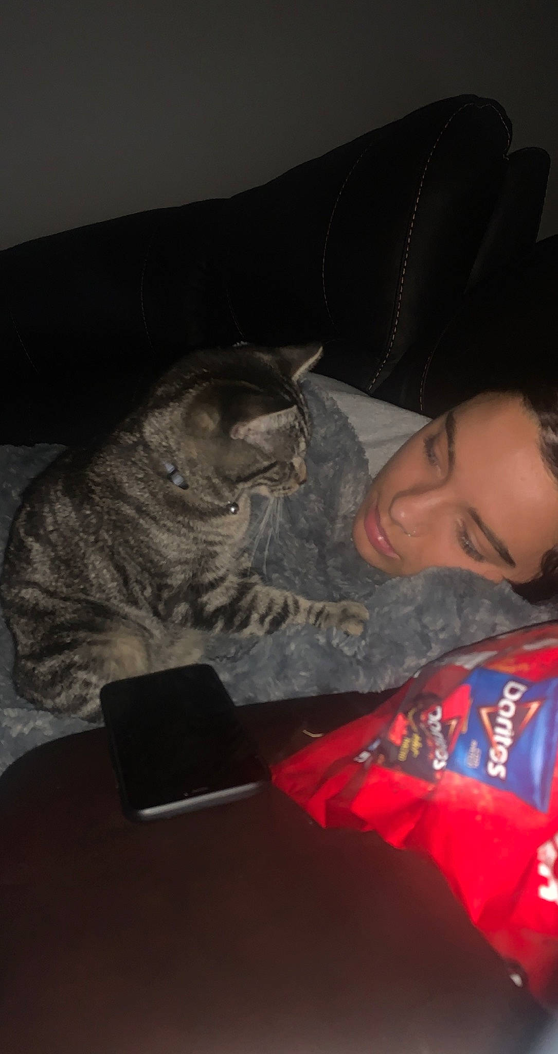 Flick is registered to the contest to win money with this photo: carmine, carnivore, cat, comfort, couch, darkness, domestic_short_haired_cat, felidae, fur, lap, nap, night, paw, room, sitting, small_to_medium_sized_cats, t_shirt, tail, vertebrate, whiskers