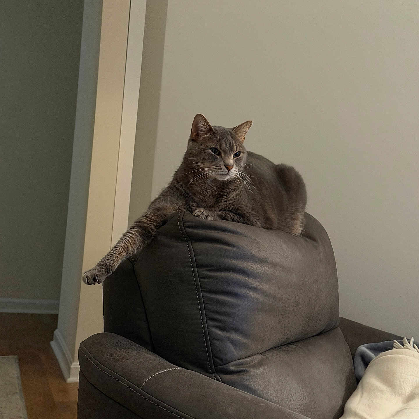 Solo