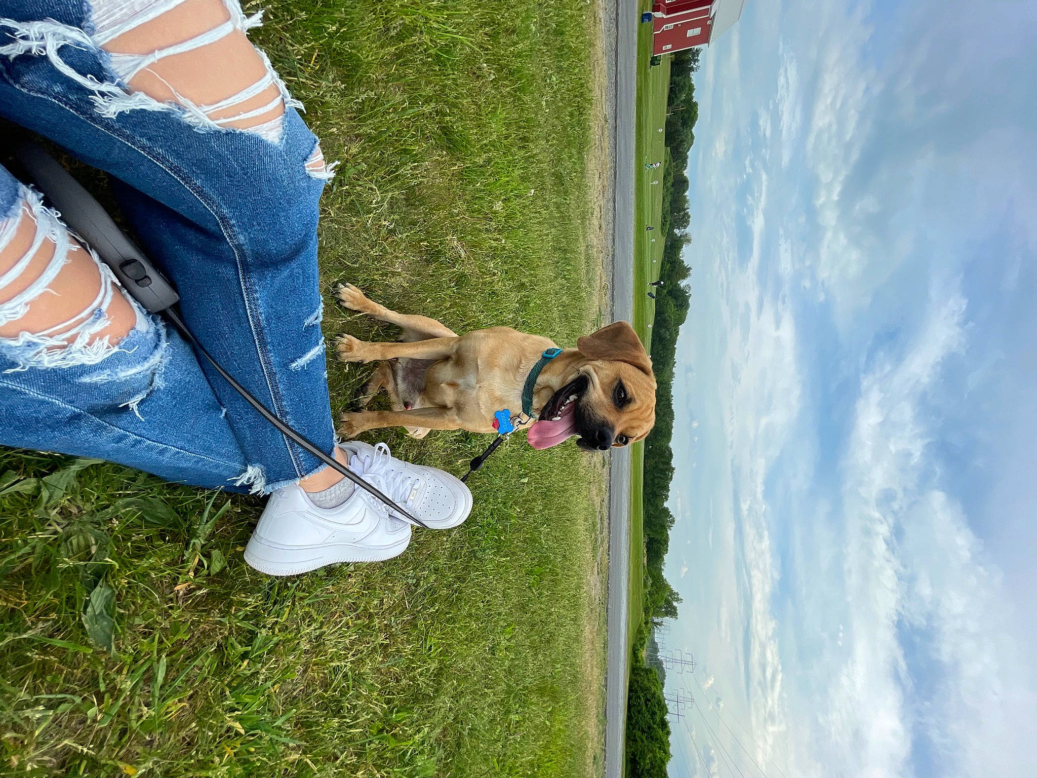 Cooper joined the competition — help win amazing prizes! azure, blue, cloud, dog, elbow, electric_blue, fun, grass, human_leg, jeans, leisure, people_in_nature, plant, recreation, sky, sporting_group, textile, thigh, tree, water