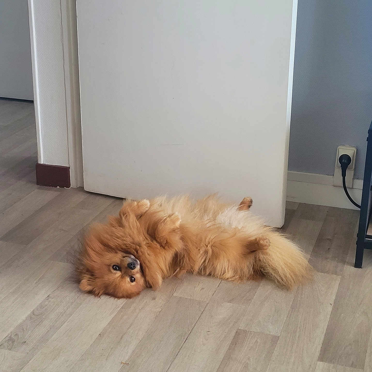 Titou
