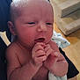 newborn, baby, infant, hands, face, blanket, skin, expression, curious, closeup, person, human, indoors, soft, wrapped, cute, small, newborn_baby, child, portrait
