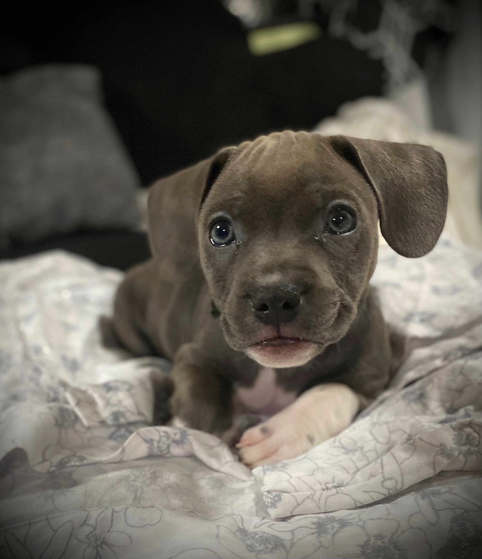 Luna