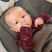 Tucker joined the competition — help win amazing prizes! baby, infant, child, face, hand, blanket, clothing, dinosaur_pattern, seat, cushion, cozy, curious, indoors, portrait, cute, wide_eyes, knit, maroon, relaxed, young