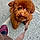 Bouba