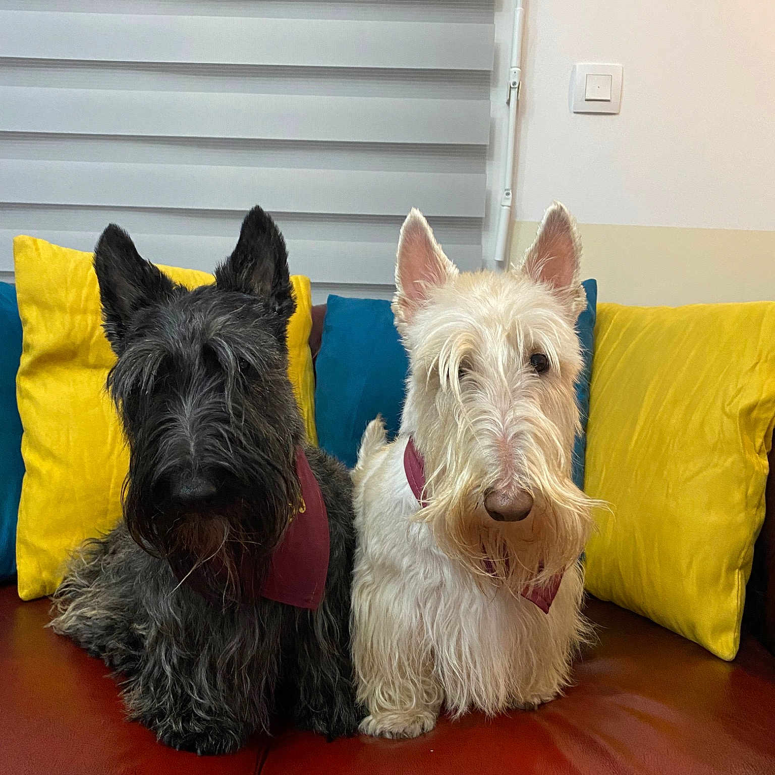 Russel Et Taïny