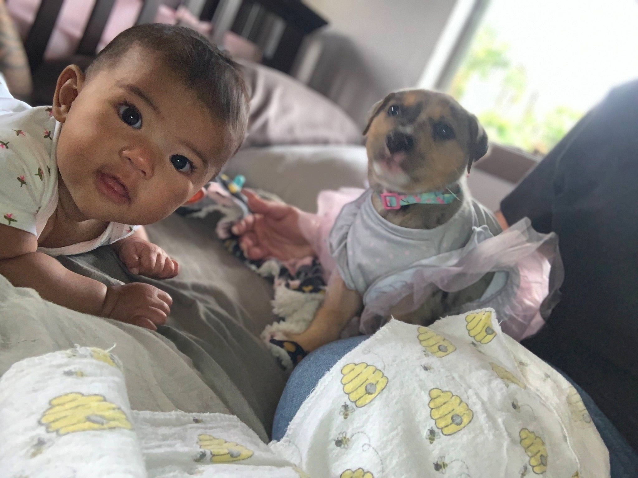 Kalia joined the competition — help win amazing prizes! baby, birth, canidae, child, companion_dog, dog_breed, fawn, person, puppy, skin, sporting_group, toddler