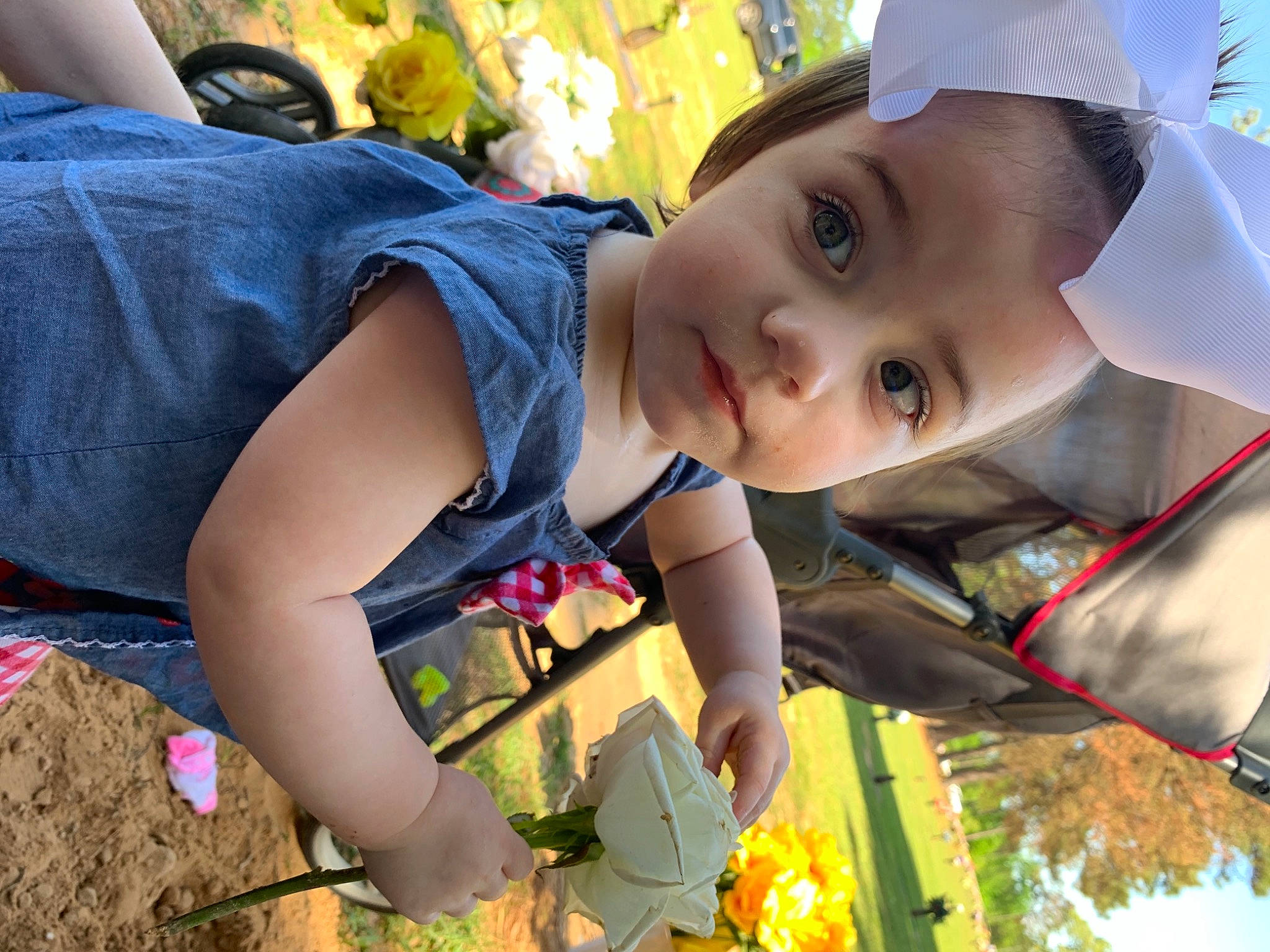 Izabella is registered to the contest to win money with this photo: adaptation, baby, baseball_cap, cap, community, fun, grass, green, happy, hat, leisure, people_in_nature, person, plant, recreation, summer, t_shirt, thigh, toddler, tree