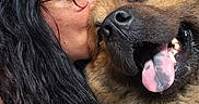 Loki participe au concours pour gagner de l'argent avec cette photo : affection, animal, black_hair, casual_clothing, close_up, companion, cute, denim, dog, fluffy_dog, glasses, happy, indoor, kiss, long_hair, love, person, pet, smile, tongue_out