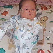 Jaxx joined the competition — help win amazing prizes! baby, newborn, infant, nasal_tube, oxygen_tube, onesie, pillow, patterned_bedding, animal_print, tiger, lion, giraffe, monkey, blanket, bed, portrait, indoors, flash, cute, sleepy