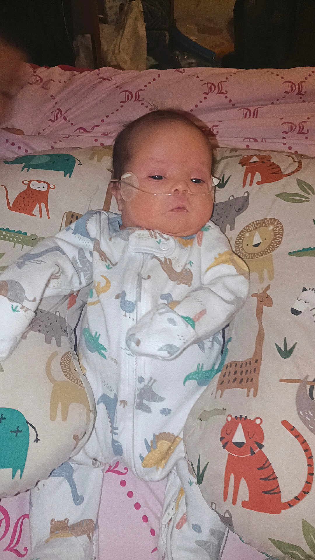 Jaxx joined the competition — help win amazing prizes! baby, newborn, infant, nasal_tube, oxygen_tube, onesie, pillow, patterned_bedding, animal_print, tiger, lion, giraffe, monkey, blanket, bed, portrait, indoors, flash, cute, sleepy