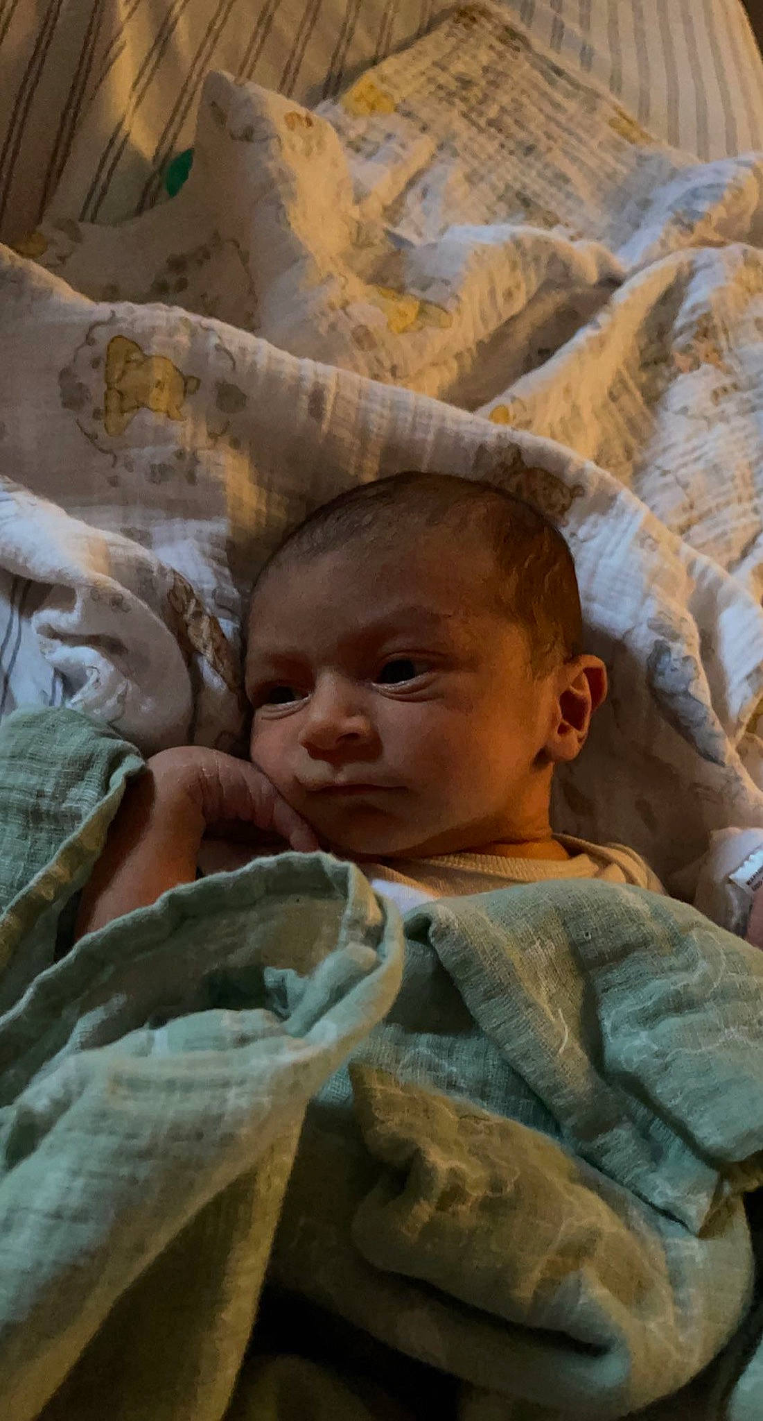 Carlos joined the competition — help win amazing prizes! baby, bedding, child, chin, comfort, eye, fun, grass, happy, head, landscape, leisure, linens, person, sitting, skin, textile, toddler, tree, vacation