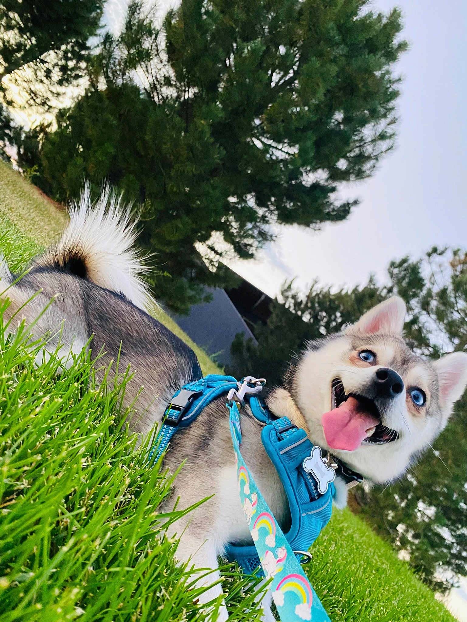 Chloe