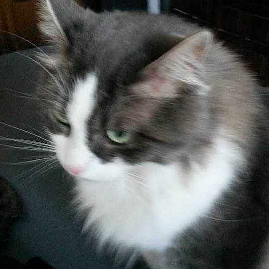 Hermione a rejoint le concours — aidez-le/la à gagner de superbes lots !