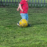 Cody-george is registered to the contest to win money with this photo: backyard, ball, boy, child, face, fence, football, grass, head, nature, outdoors, person, photography, plant, portrait, soccer, soccerball, sphere, sport, yard
