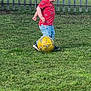 backyard, ball, boy, child, face, fence, football, grass, head, nature, outdoors, person, photography, plant, portrait, soccer, soccerball, sphere, sport, yard