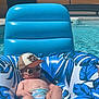 baby, sunglasses, cap, pool, inflatable_float, water, summer, sunny, relaxing, diaper, child, blue, white, outdoor, trees, bench, fence, skin, feet, vacation