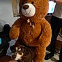 teddy_bear, stuffed_animal, dog, pet, indoor, living_room, person, watch, tile_floor, furniture, television, curious, brown, plush, bow, animal, companion, cozy, home, casual