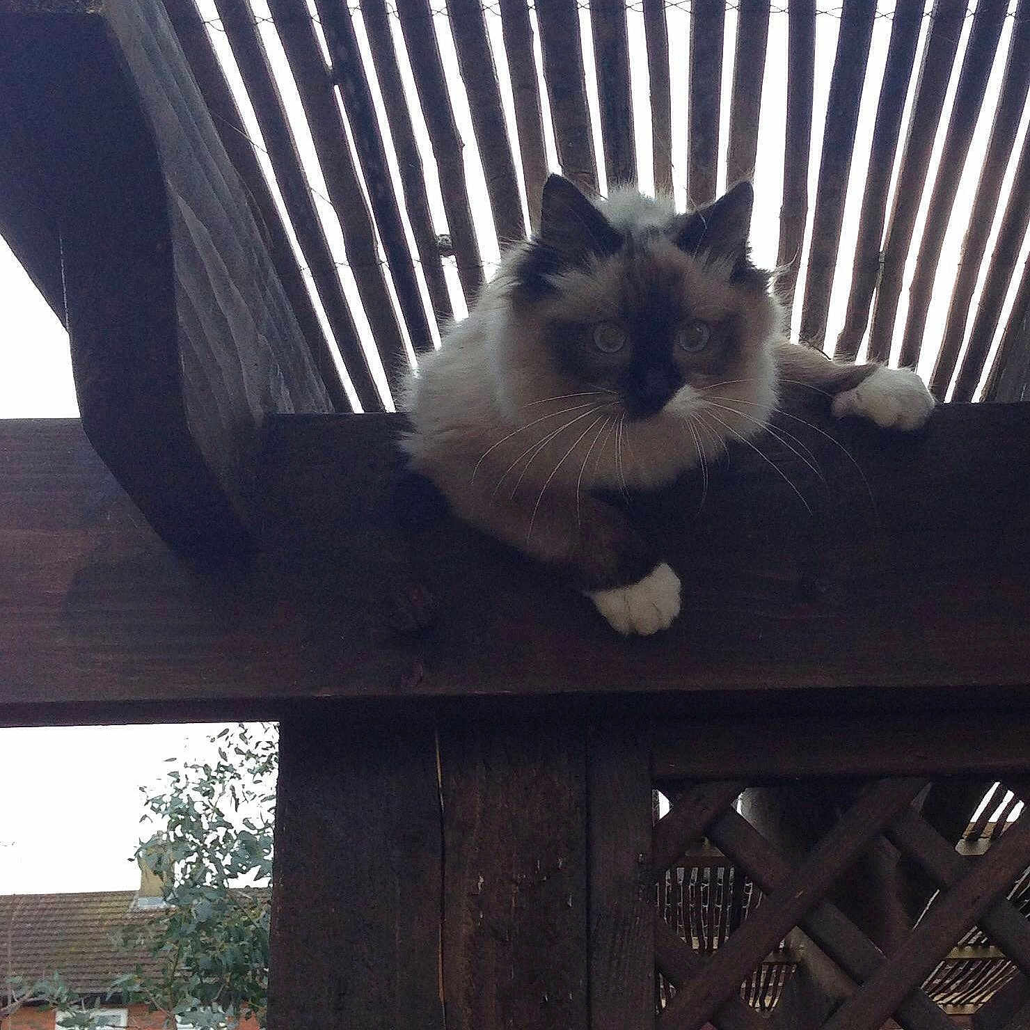 India is registered to the contest to win money with this photo: