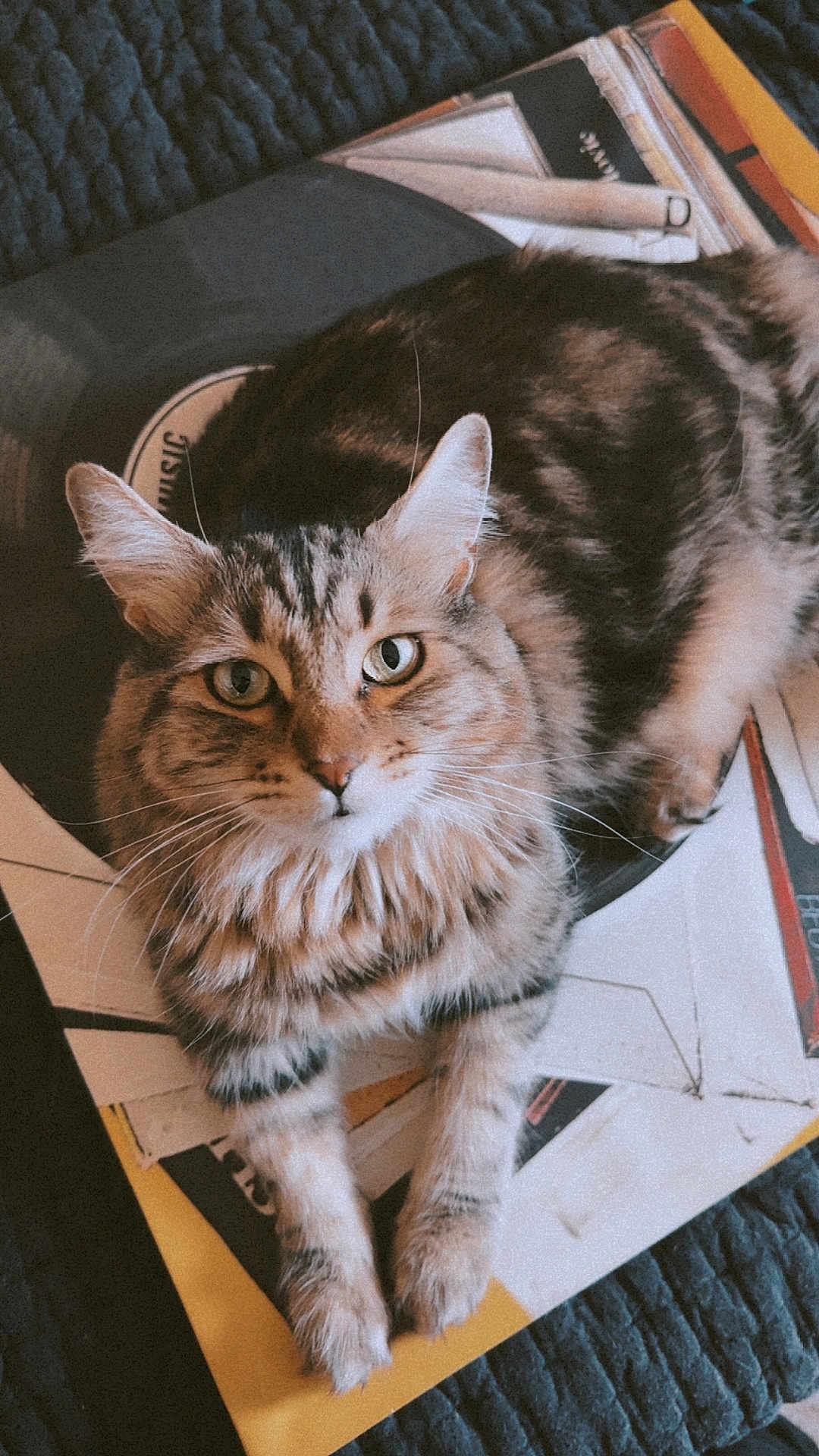 Macchiato
