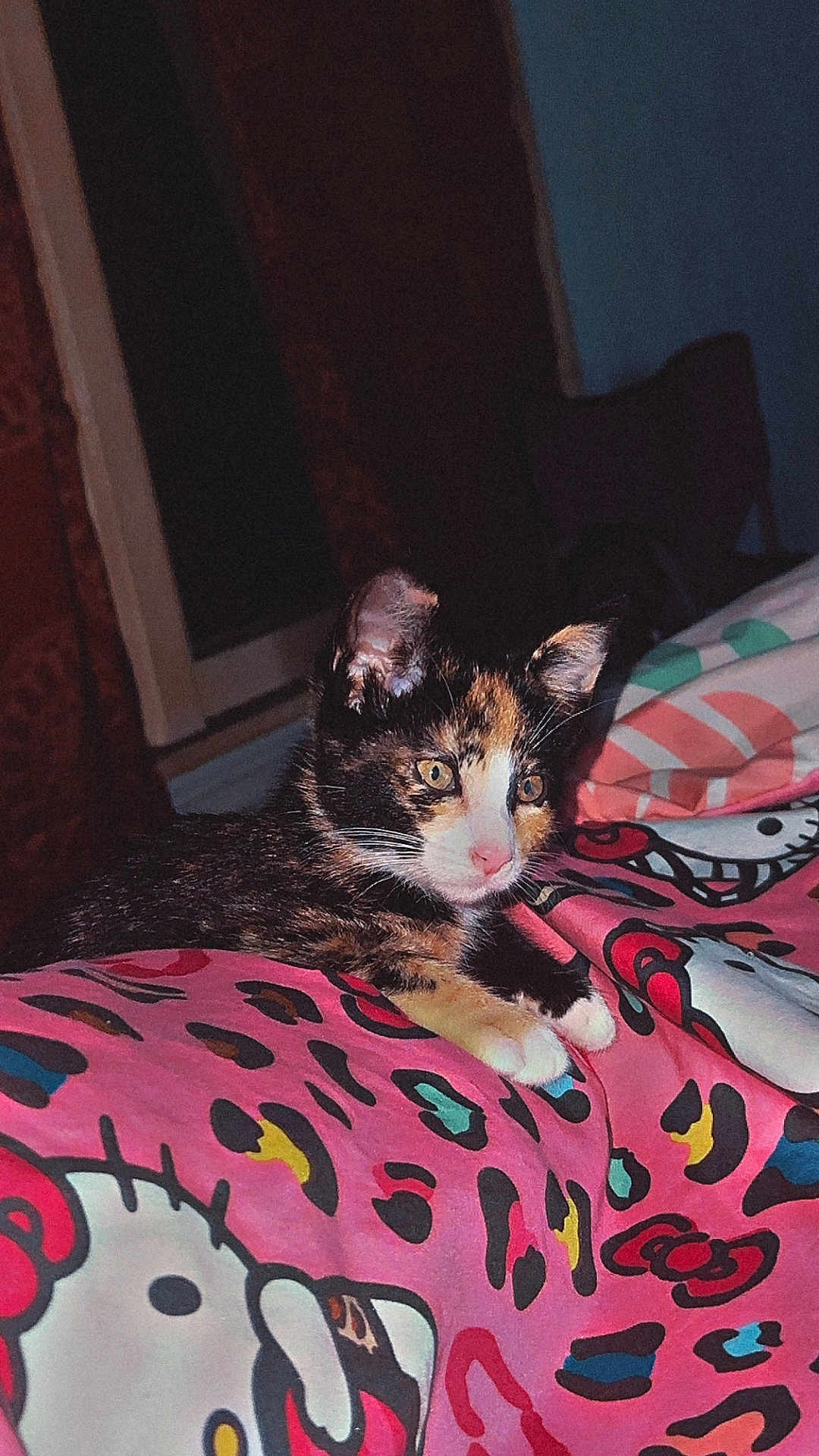 Natasha