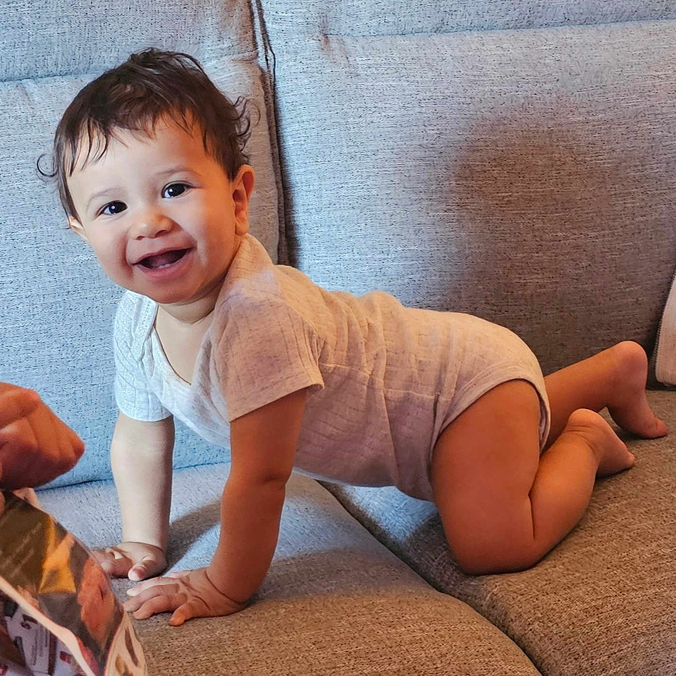 Siraj is registered to the contest to win money with this photo: baby, child, clothing, couch, crawling, curly_hair, cute, foot, hand, happy, home, indoors, infant, one_child, person, portrait, skin, smiling, sofa, toddler