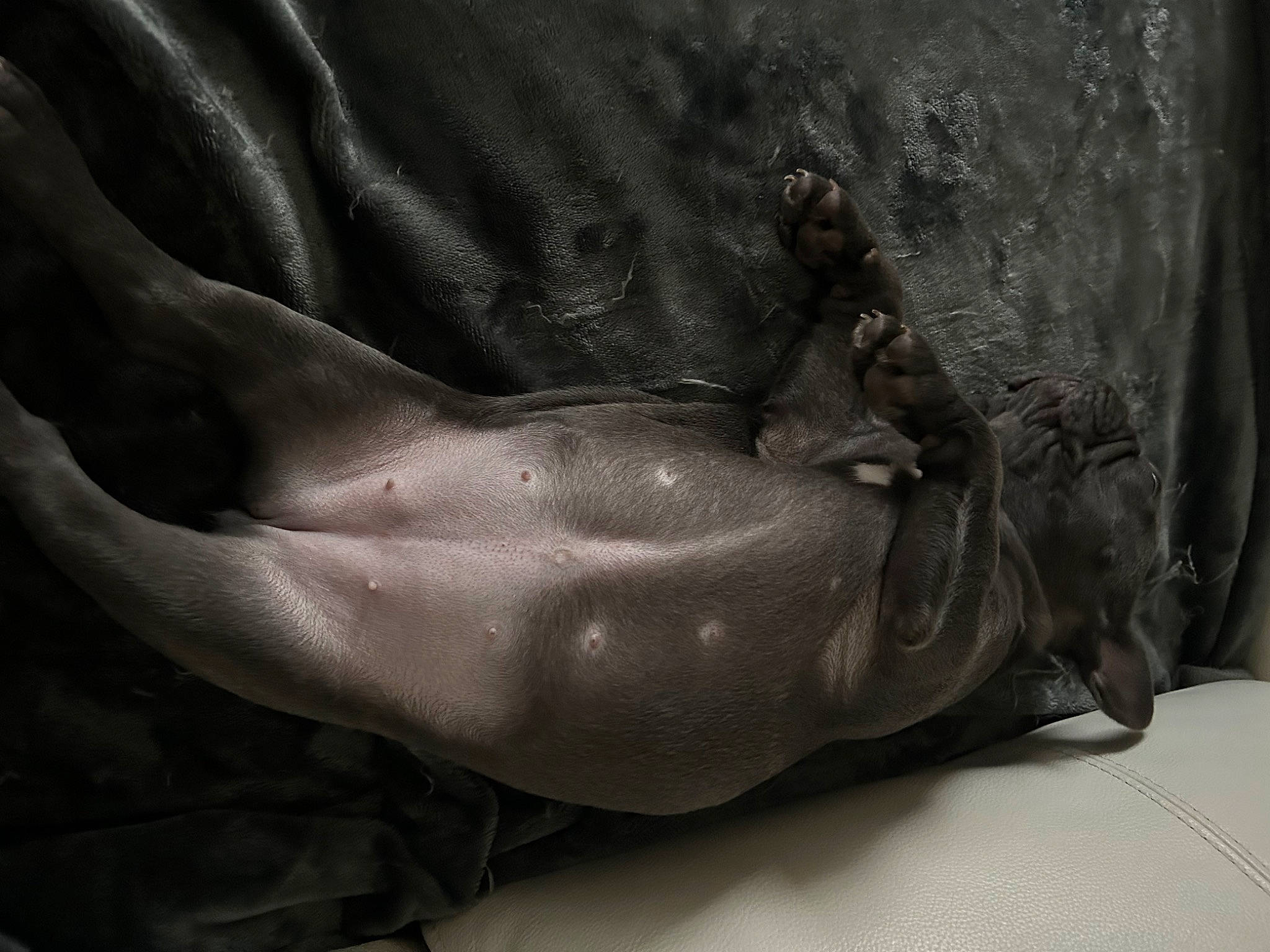 Taoara a rejoint le concours — aidez-le/la à gagner de superbes lots ! abdomen, art, bedding, chest, comfort, elbow, fashion_accessory, foot, gesture, grey, human_body, human_leg, knee, linens, metal, monochrome, monochrome_photography, sculpture, thigh, trunk