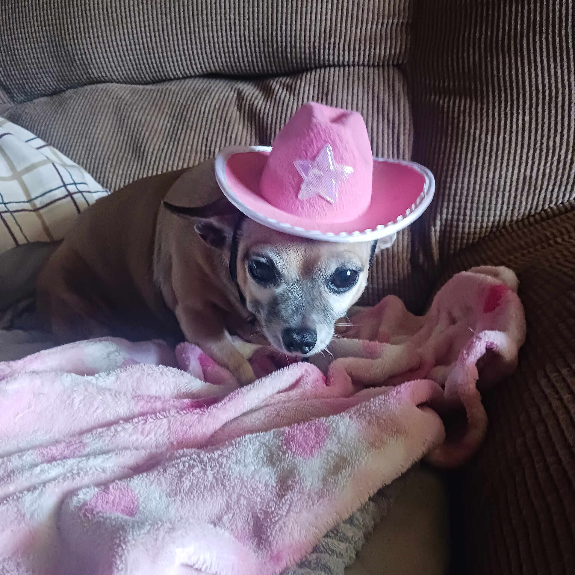 Penny