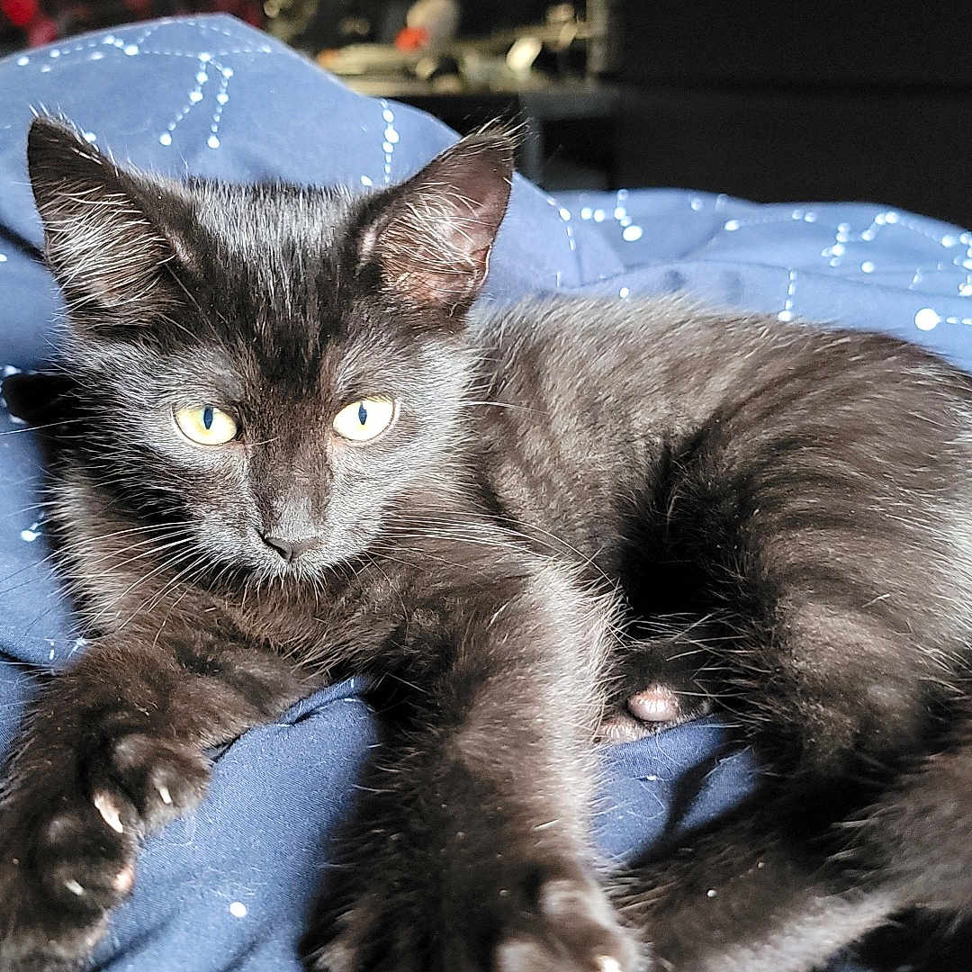Lucifer