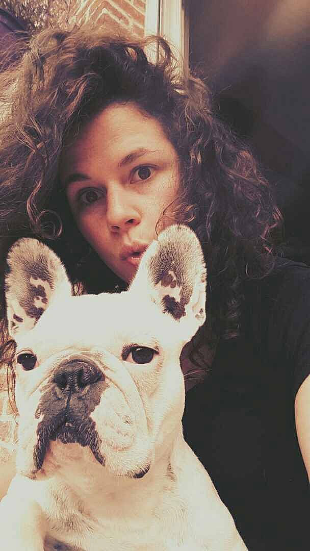 Lili participe au concours pour gagner de l'argent avec cette photo : ancient_dog_breeds, boston_terrier, bulldog, canidae, carnivore, companion_dog, dog, dog_breed, ear, fawn, french_bulldog, non_sporting_group, olde_english_bulldogge, person, puppy_love, skin, snout, toy_bulldog