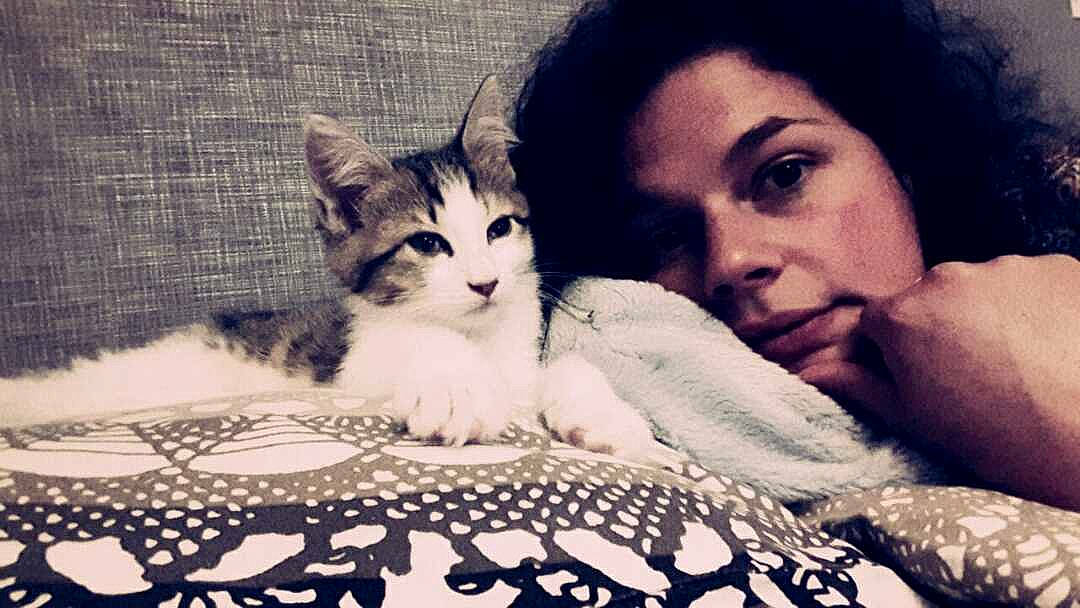 Sanka participe au concours pour gagner de l'argent avec cette photo : asian, black_hair, carnivore, cat, european_shorthair, felidae, fur, human, love, nose, photography, selfie, small_to_medium_sized_cats, whiskers