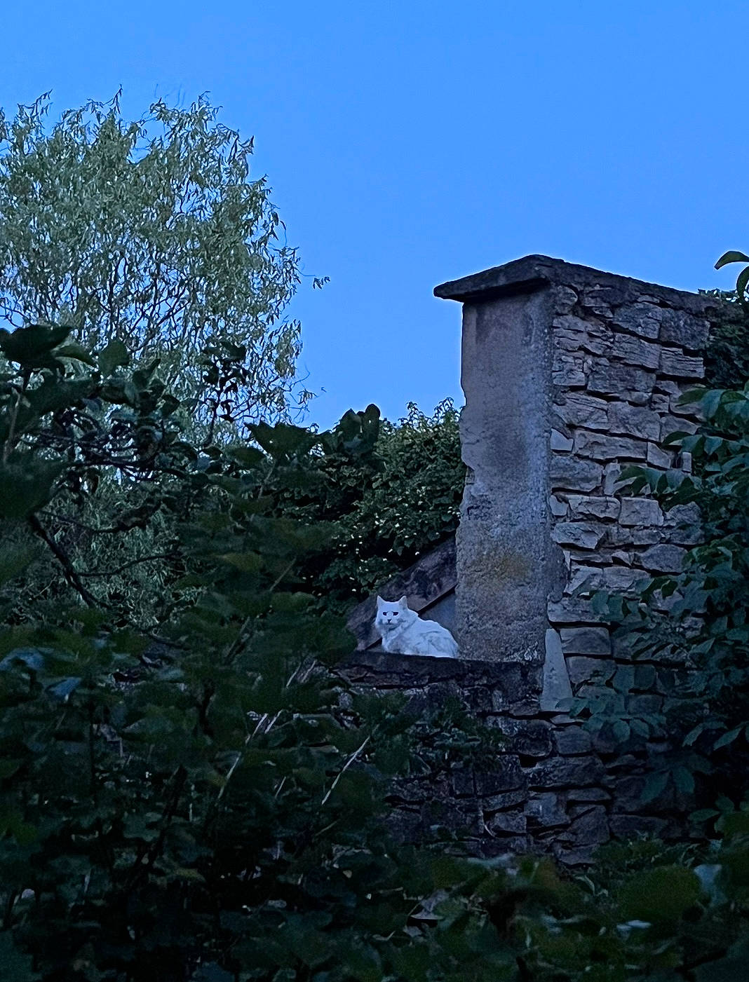 Snow White a rejoint le concours — aidez-le/la à gagner de superbes lots ! ancient_history, building, grass, hill, history, house, landscape, plant, rock, roof, shrub, sky, tree, twig