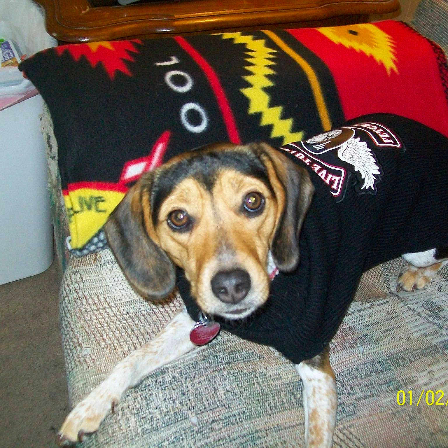 Sammy