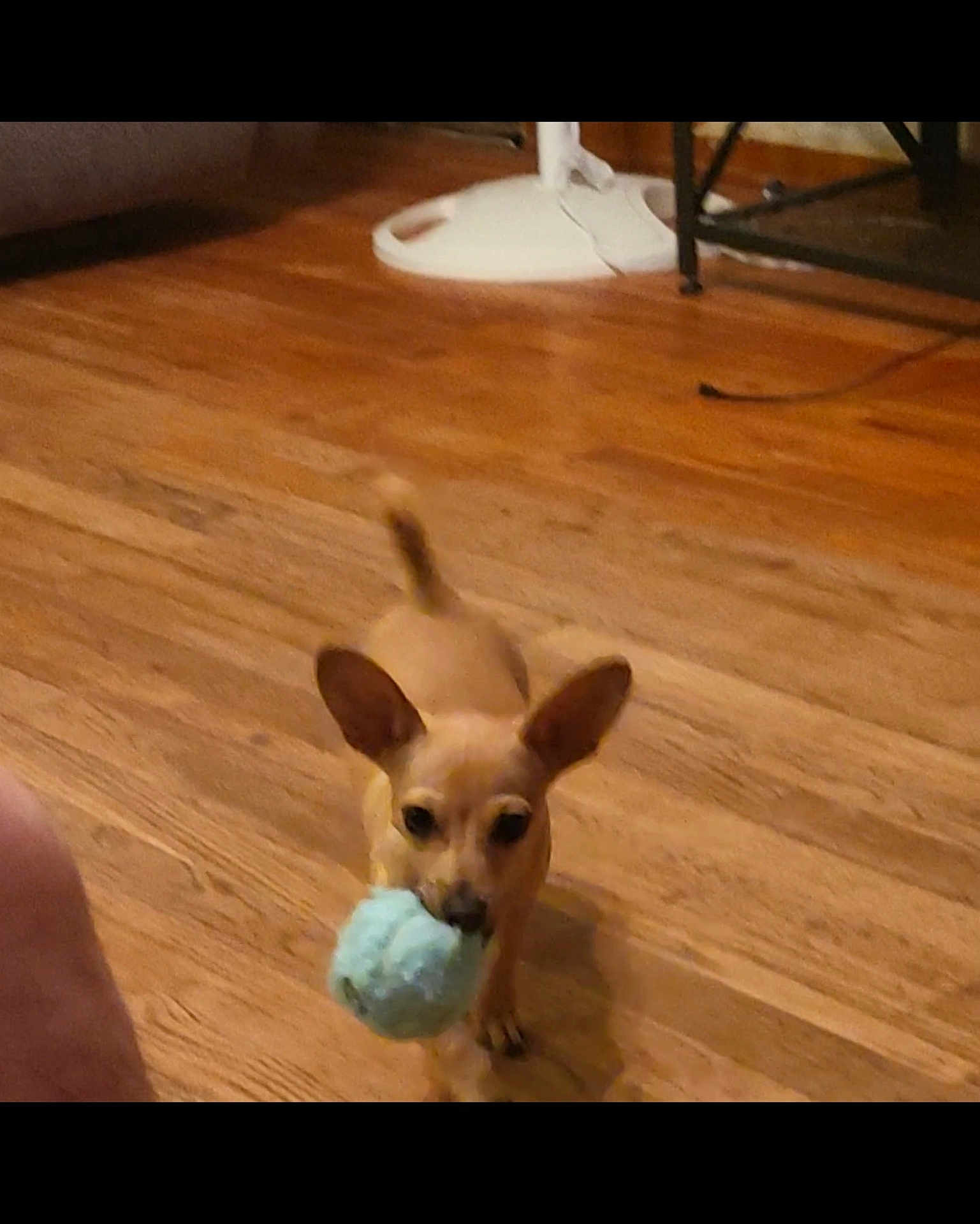 Tucker
