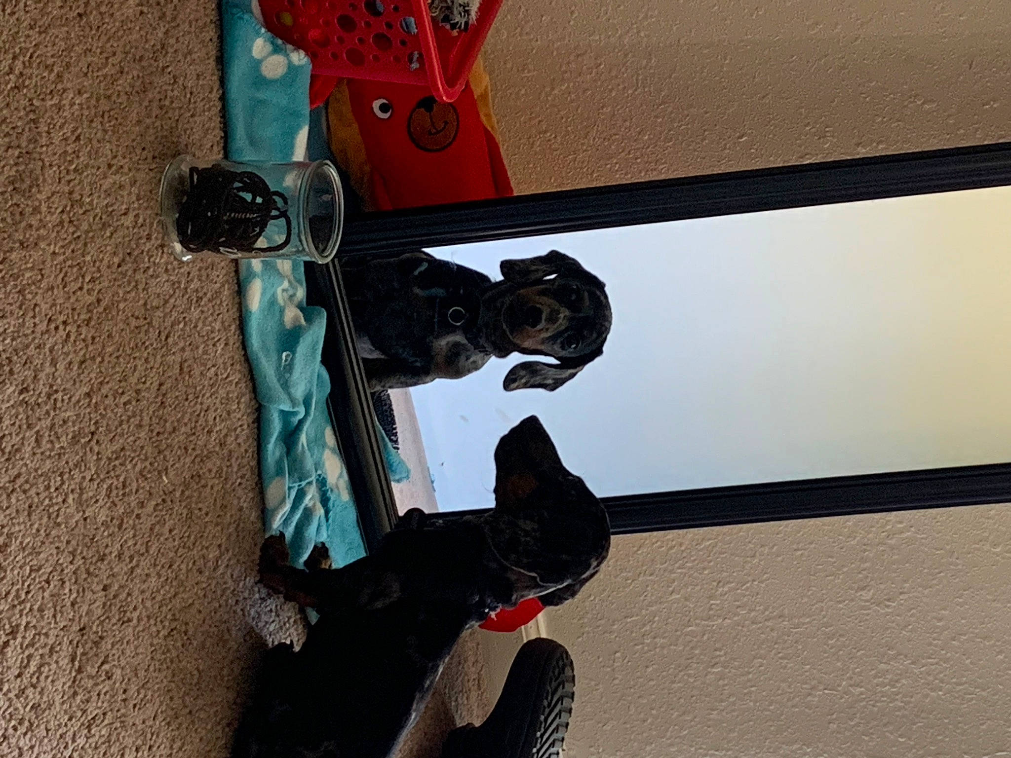 Benny joined the competition — help win amazing prizes! auto_part, automotive_design, automotive_exterior, automotive_lighting, automotive_tire, automotive_wheel_system, bicycle_tire, bumper, carmine, electric_blue, fender, machine, motor_vehicle, personal_protective_equipment, rim, tire, toy, vehicle, vehicle_door, wheel