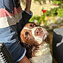 animal, arm, brown, canine, closeup, clothing, companion, dog, furry, garden, happy, outdoor, person, pet, portrait, relaxed, striped_shirt, sunlight, white, wicker_chair