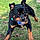 Seth