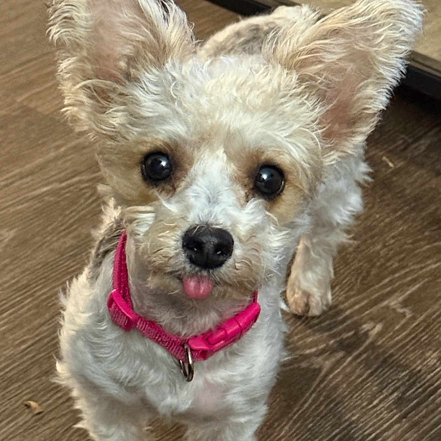 Nakita
