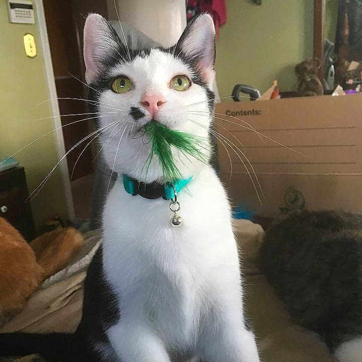 Diesel joined the competition — help win amazing prizes!